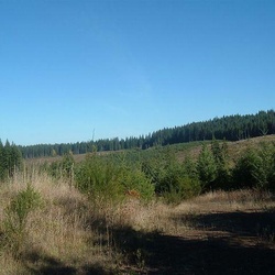 Return of the Great Hunt