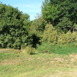 Visiting Grandma Bobbie