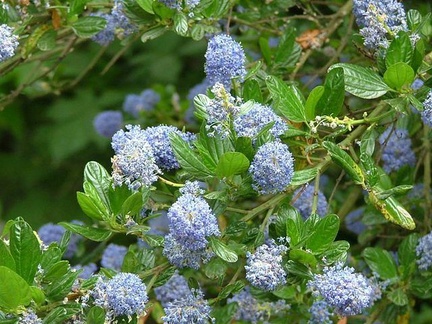 DSCF3478