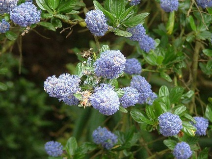 DSCF3477
