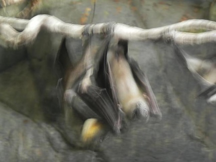 DSCN1380