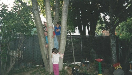 Scan00931