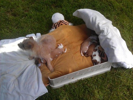 FB IMG 13729770932421818