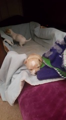 21761442 1574341125922514 1213603837500338470 n