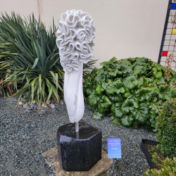 Valentines at Puget Sound