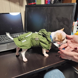 Scout and Tank